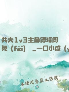 共夫1v3主角傅琛周免費(fèi)閱讀