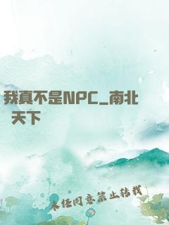 我真不是NPC