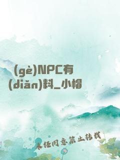 這個(gè)NPC有點(diǎn)料