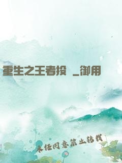 重生之王者投資