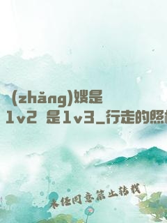 長(zhǎng)嫂是1v2還是1v3