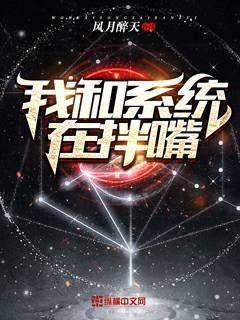 我和系統在拌嘴