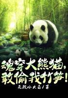 魂穿大熊貓，敢偷我竹筍！